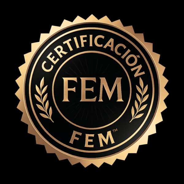 Certificación FEM Studio